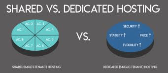 shared vs managed hosting
